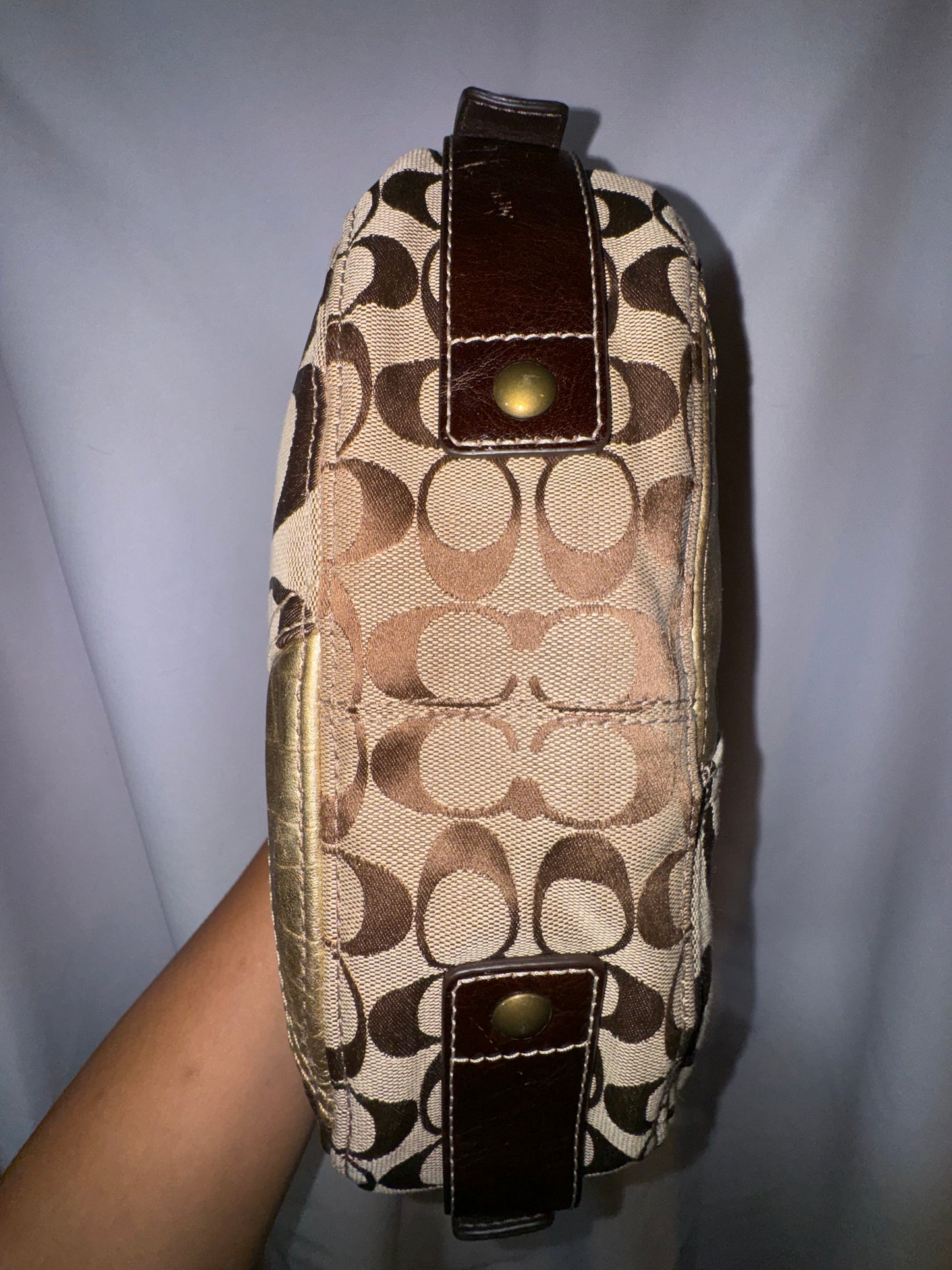 Vintage Y2K Coach Brown and Animal Print Chelsea Hobo Bag